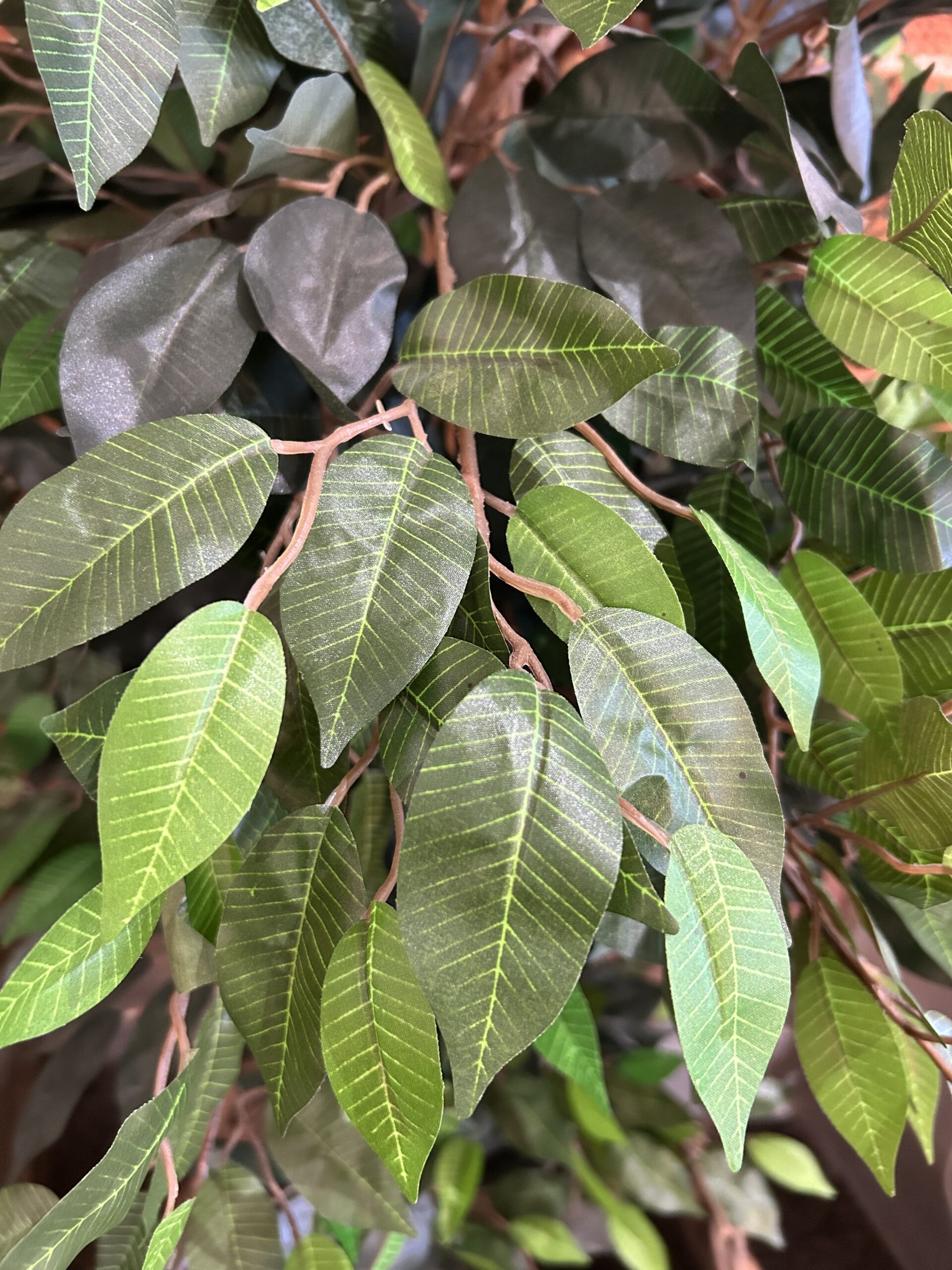 Artificial Ficus 183cm - Image 2